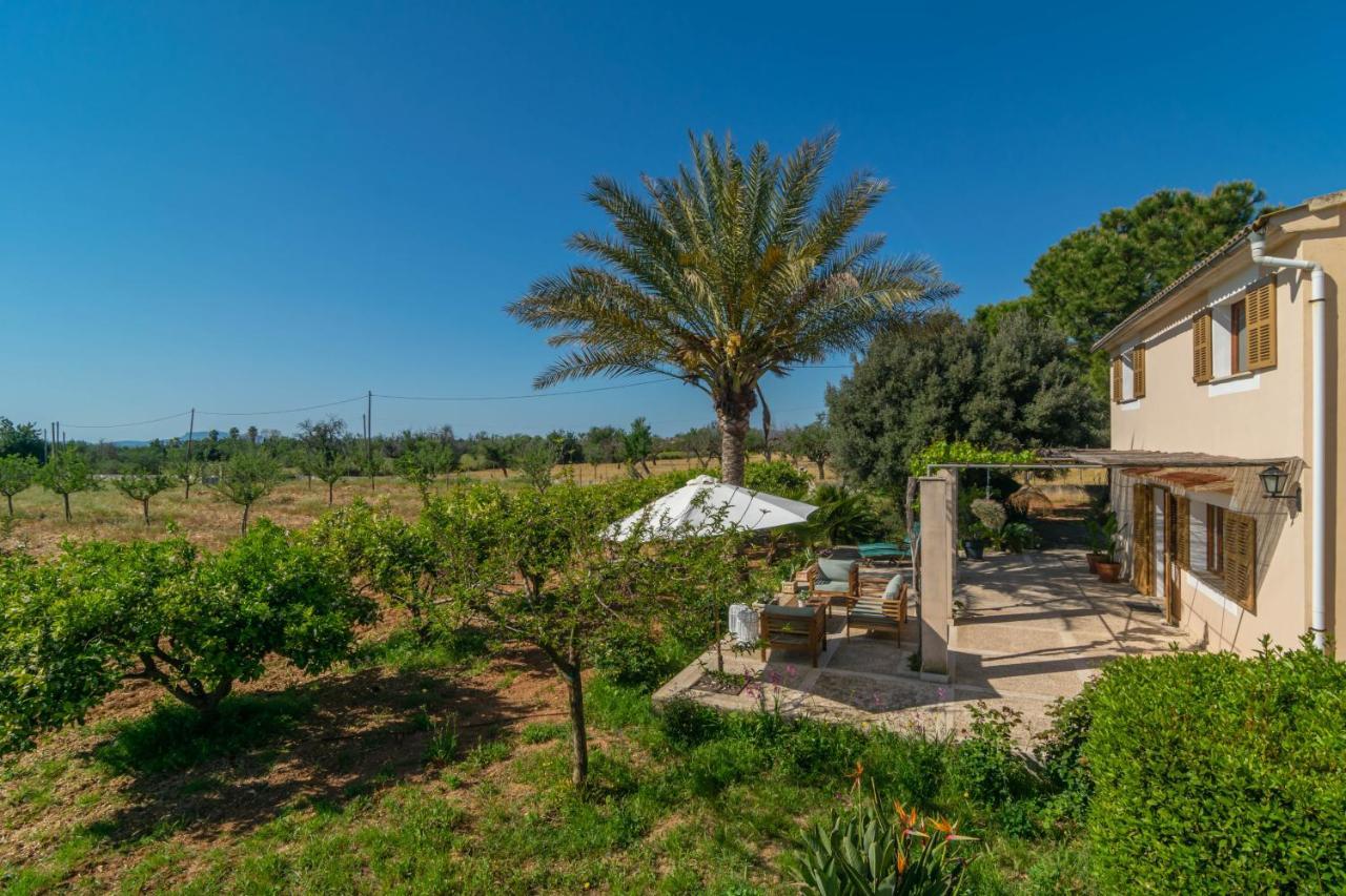Chalet Pilos Inca (Mallorca)